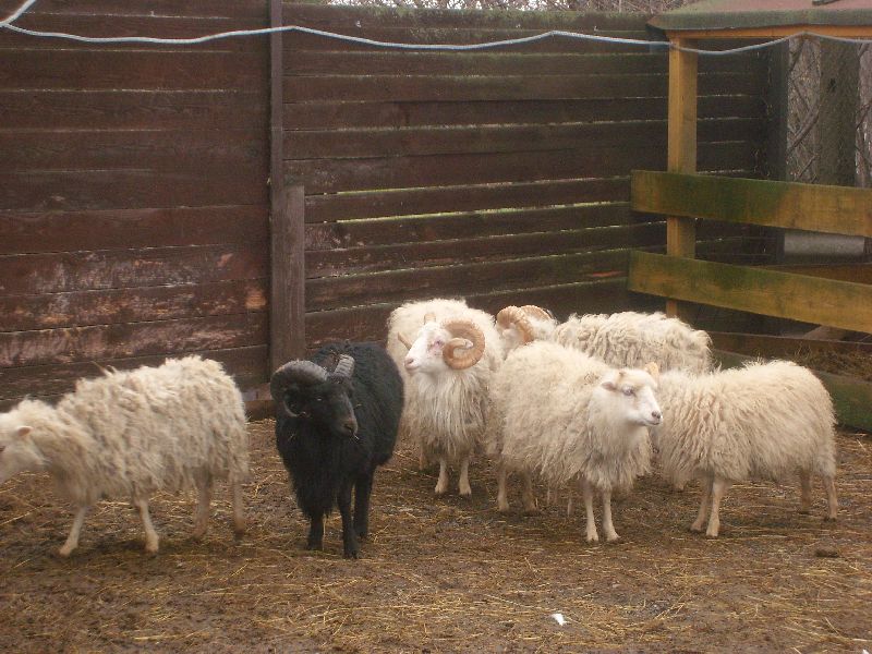Výlet do svíčkárny v Šestajovicích 02