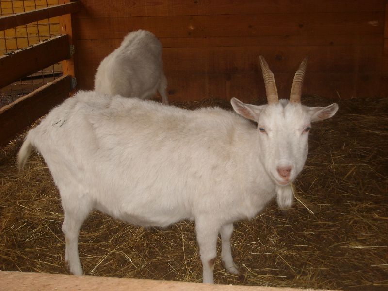 Výlet do svíčkárny v Šestajovicích 04