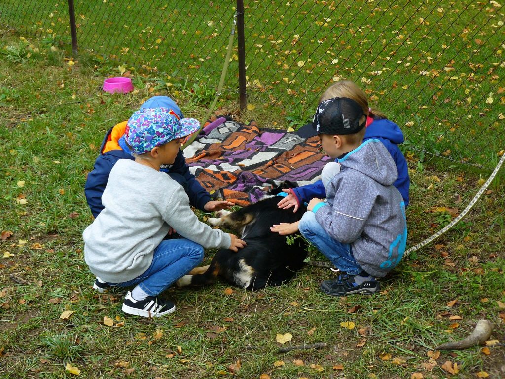 Prvňáčci chodí do školy bezpečně 17